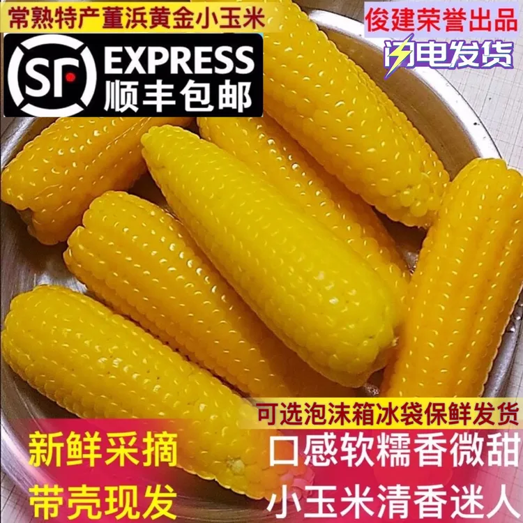 顺丰包邮  常熟特产黄金小玉米 糯玉米软糯香微甜老少都喜欢1斤起