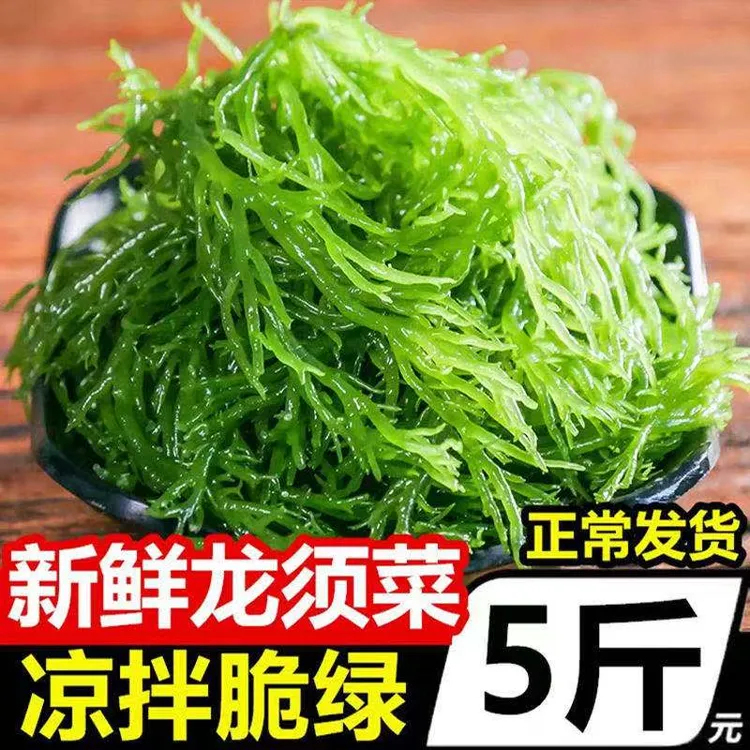 天然海藻海草石花菜龙须菜500克凉拌菜火锅菜美食新鲜鲜脆绿