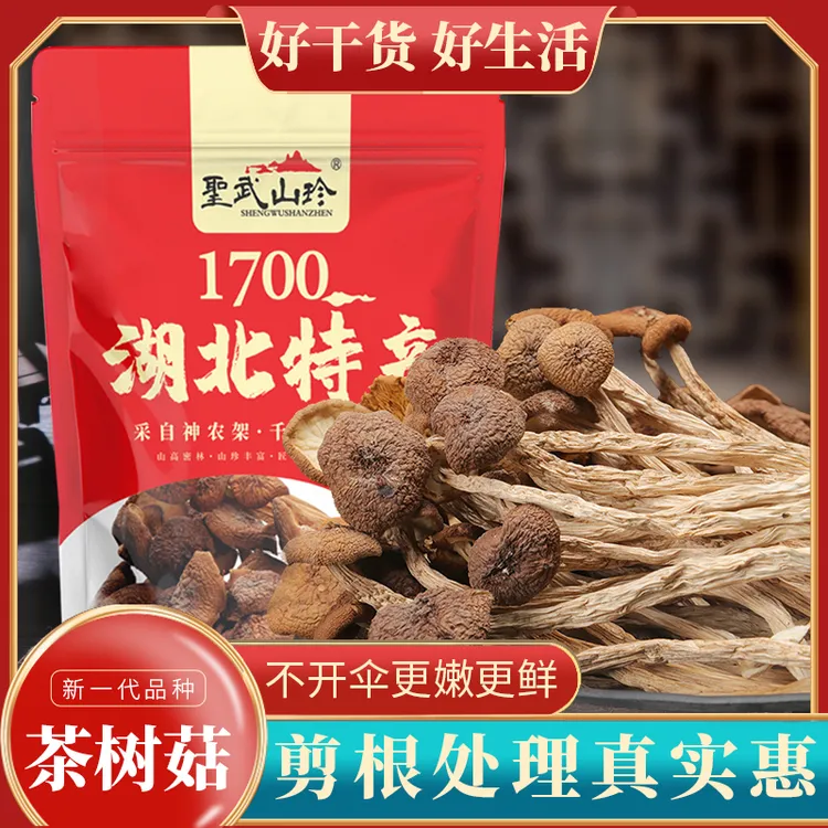 湖北特产 神农架茶树菇干货 不开伞农家新茶树菇干250g