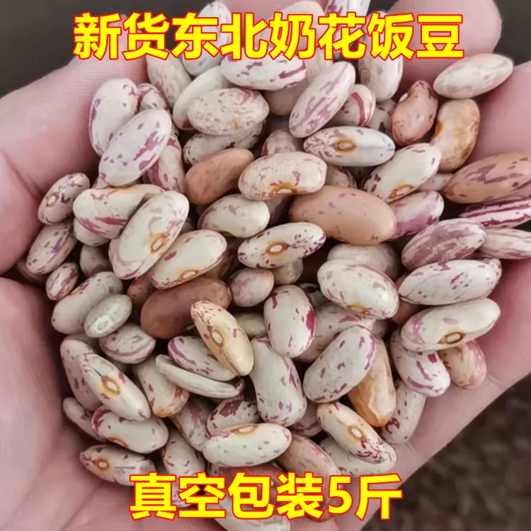 新花芸豆东北农家奶花饭豆碴子粥腰豆肾豆菜豆5斤真空装包邮