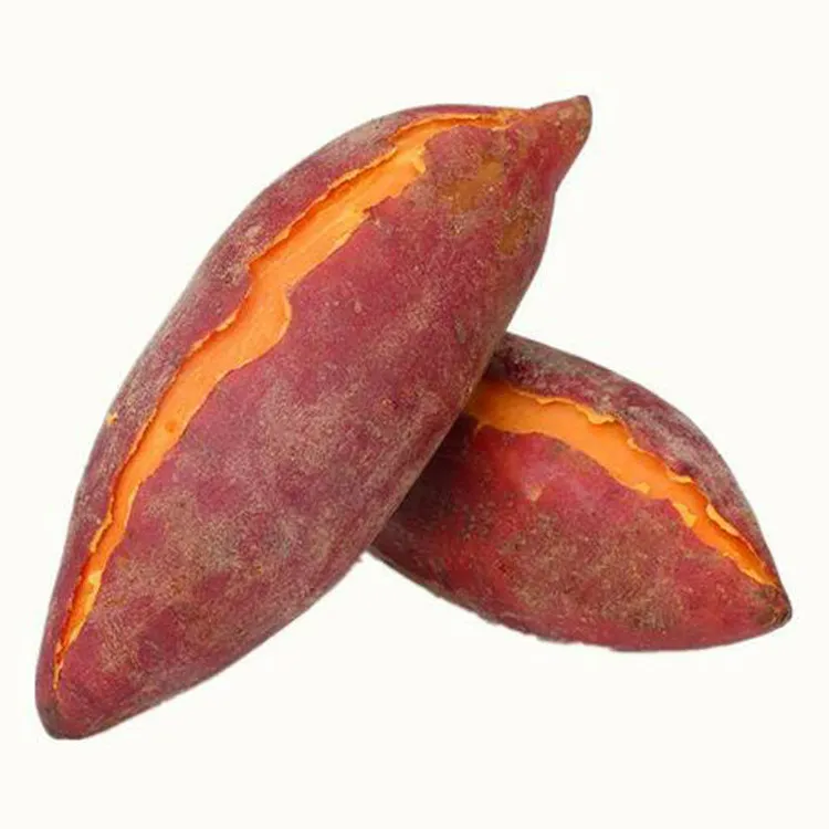 新鲜蒸烤型红心蜜薯软糯香甜无丝地瓜早餐代餐粗粮5斤9斤