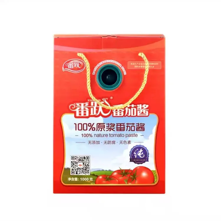 番跃番茄酱做汤火锅炒菜原料番茄沙司意粉酱意大利面酱1kg袋装