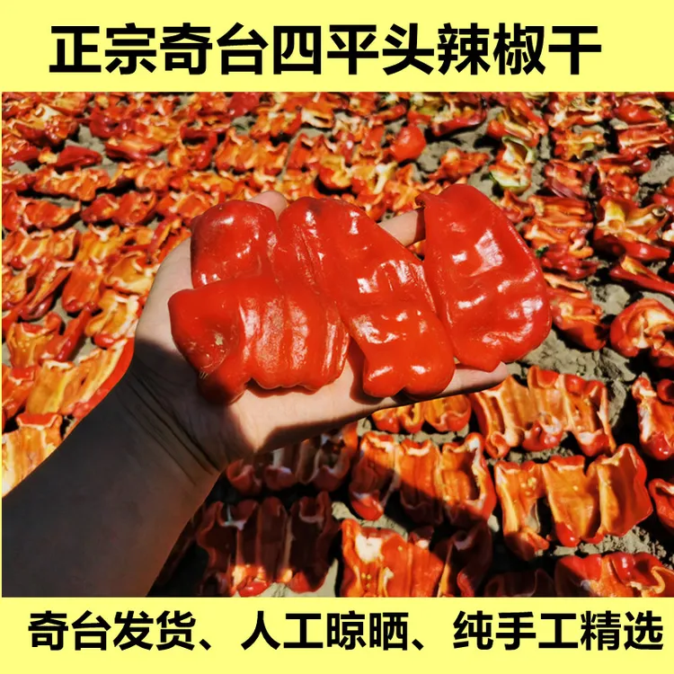 新疆奇台四平头肉辣椒干500g香辣微甜辣椒干人工晾晒纯手工精选
