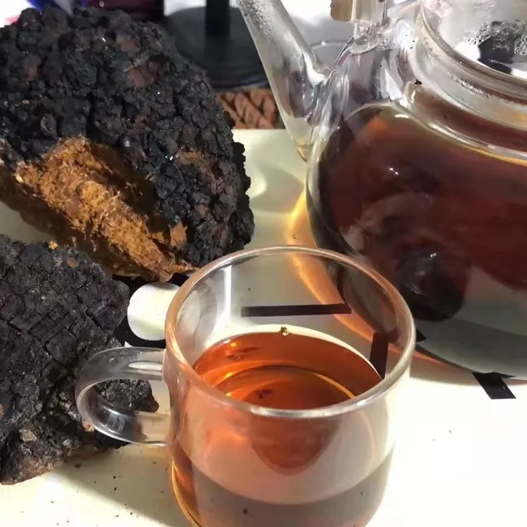 东北大兴安岭桦树茸菇初级农产品散装