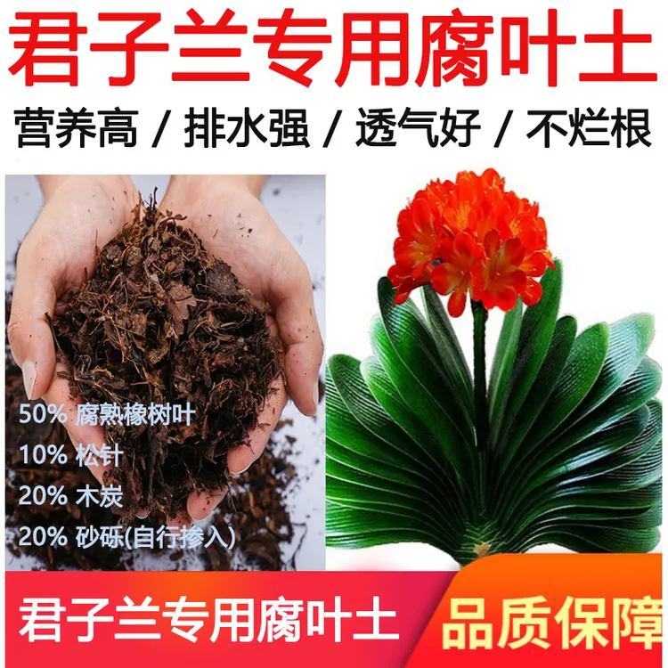 君子兰花土专用土腐叶土营养土  包邮  已腐熟杀菌直接使用