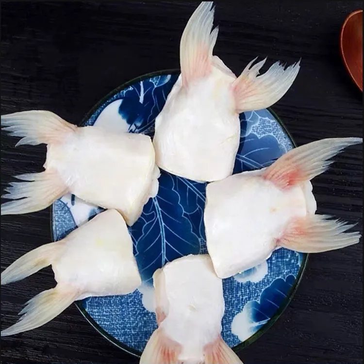 巴沙鱼鳍 鱼肥油 淡水鱼 