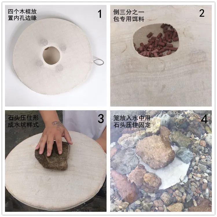 网红神器   石斑鱼，马口，小白条