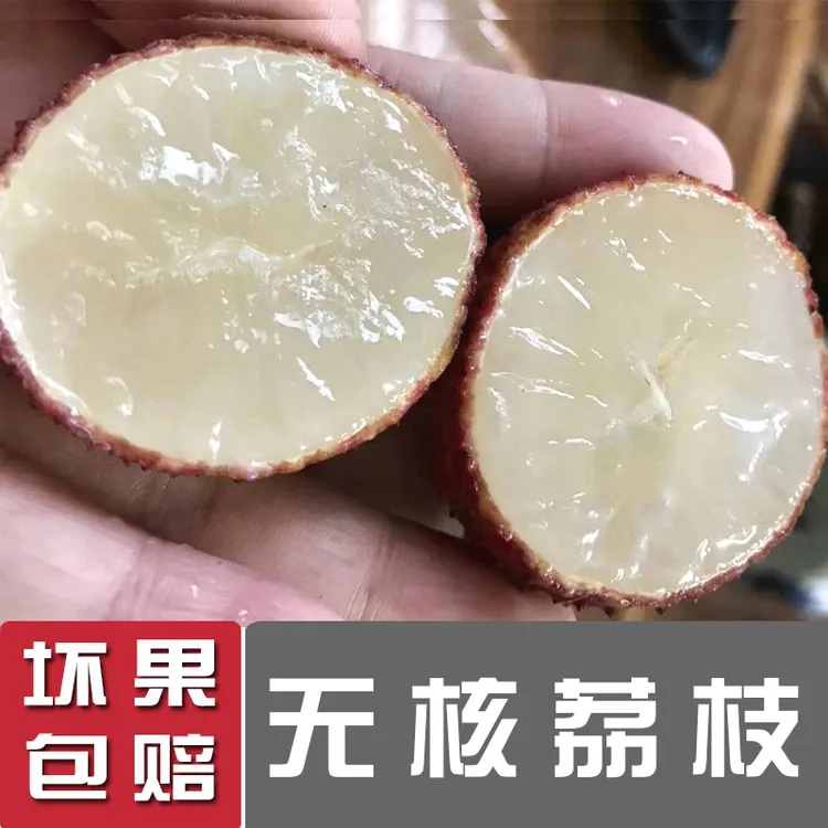 【顺丰空运】无核荔枝精选送礼新鲜水果无籽产地直发3斤时令甜多汁