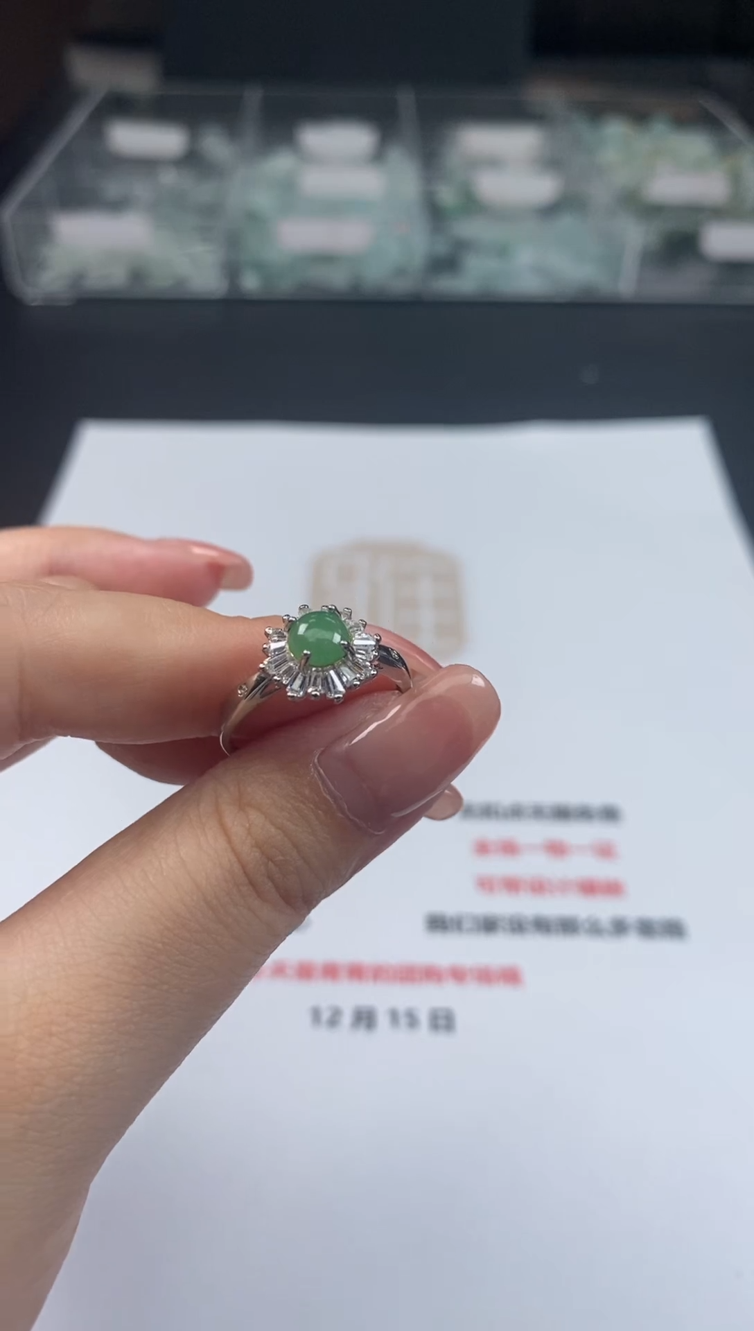 【闪购商品】翡翠颈饰未镶嵌37-88