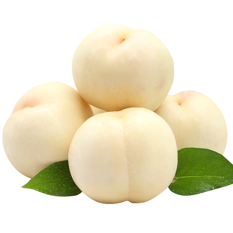 大白桃1500g士50g