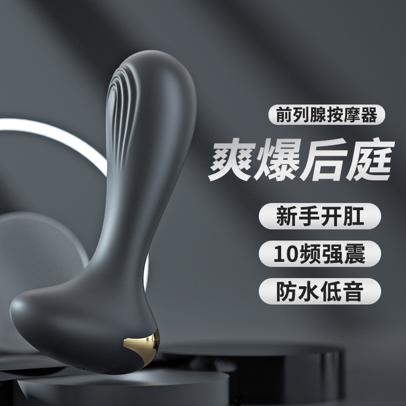 羞羞哒充电10频遥控按摩震动肛塞套装大小后庭刺激自慰情趣性用品