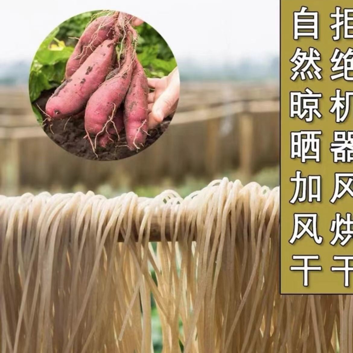 哈通家红薯粉条包检测4.6斤