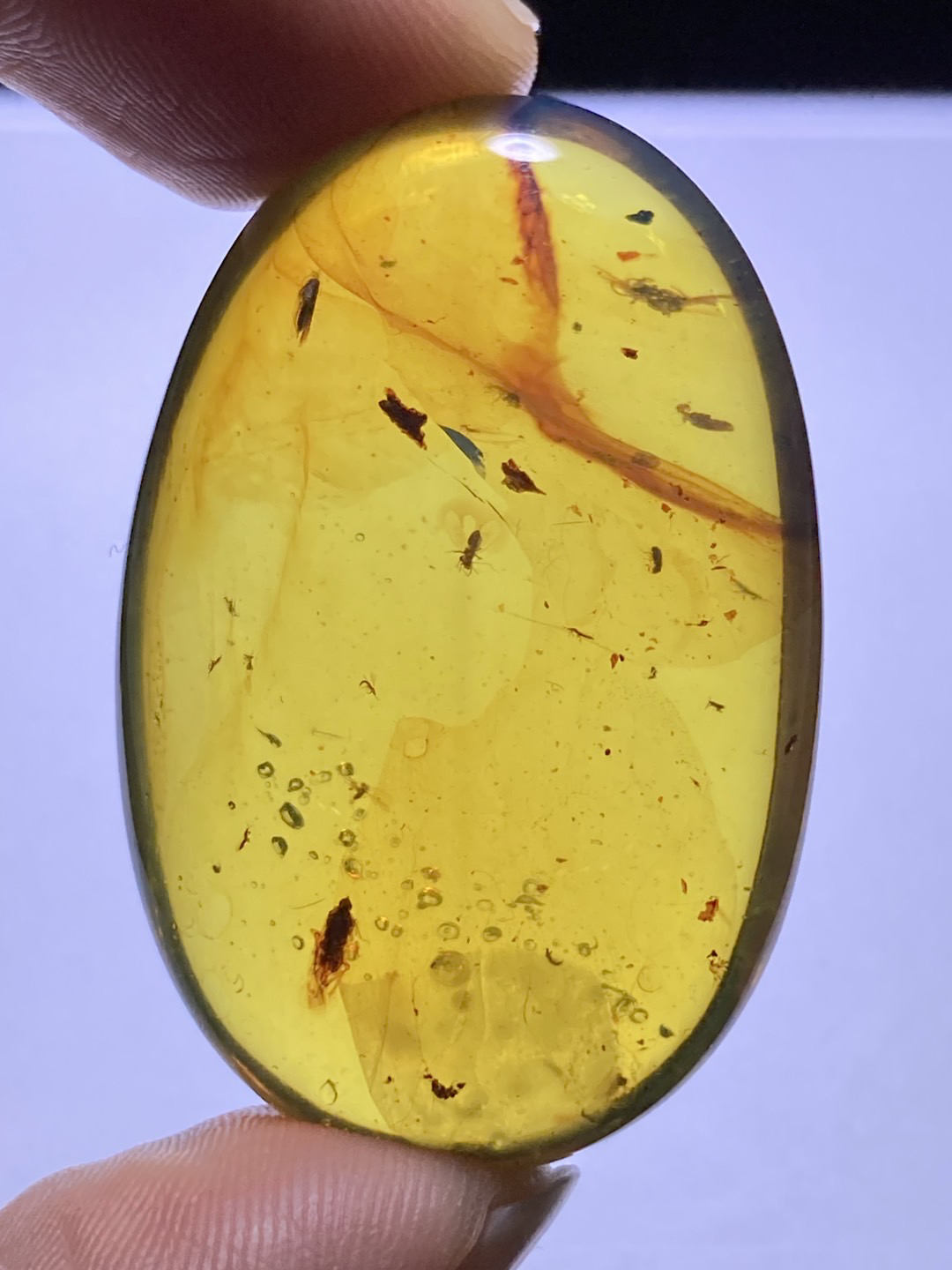 缅甸琥珀虫珀吊坠10克