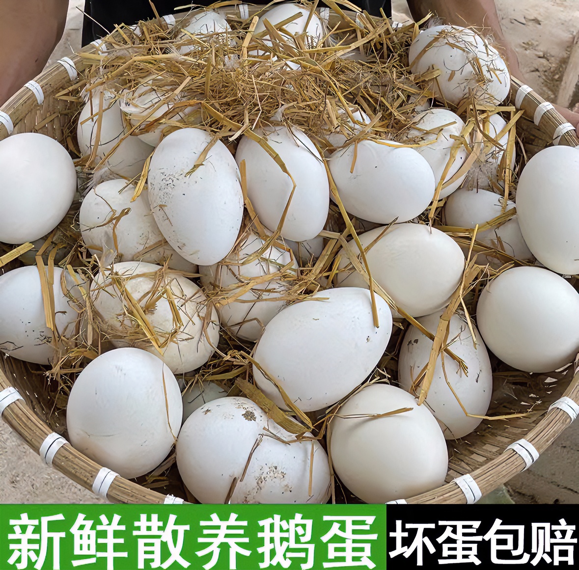 【阿妹农场】现捡现发新鲜散养鹅蛋一箱12枚单枚重120g左右