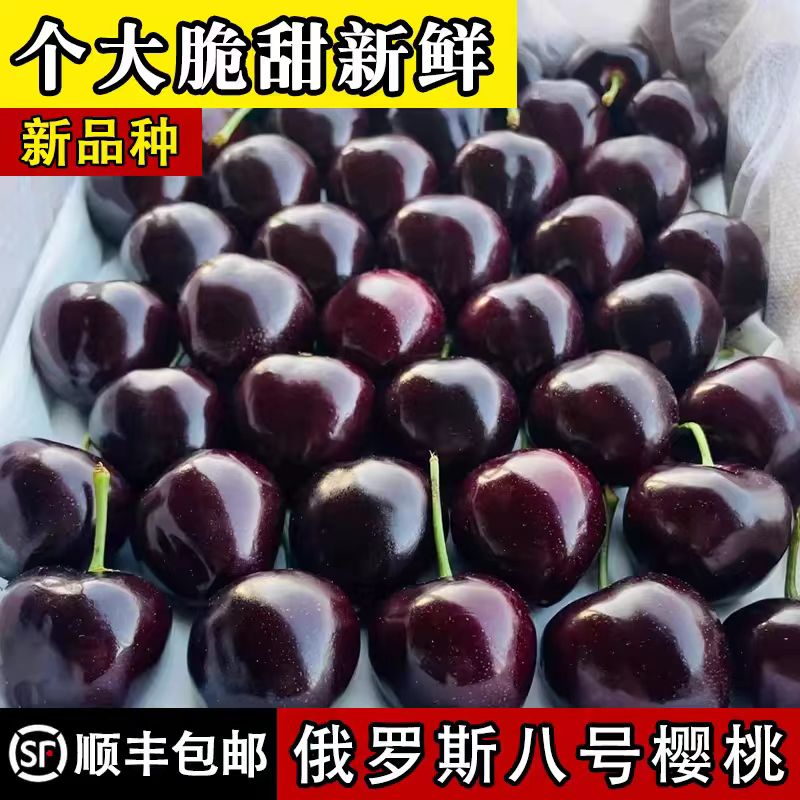 山西绛县大樱桃车厘子 《省内拍》俄八黑紫纯甜坏果包赔顺丰包邮