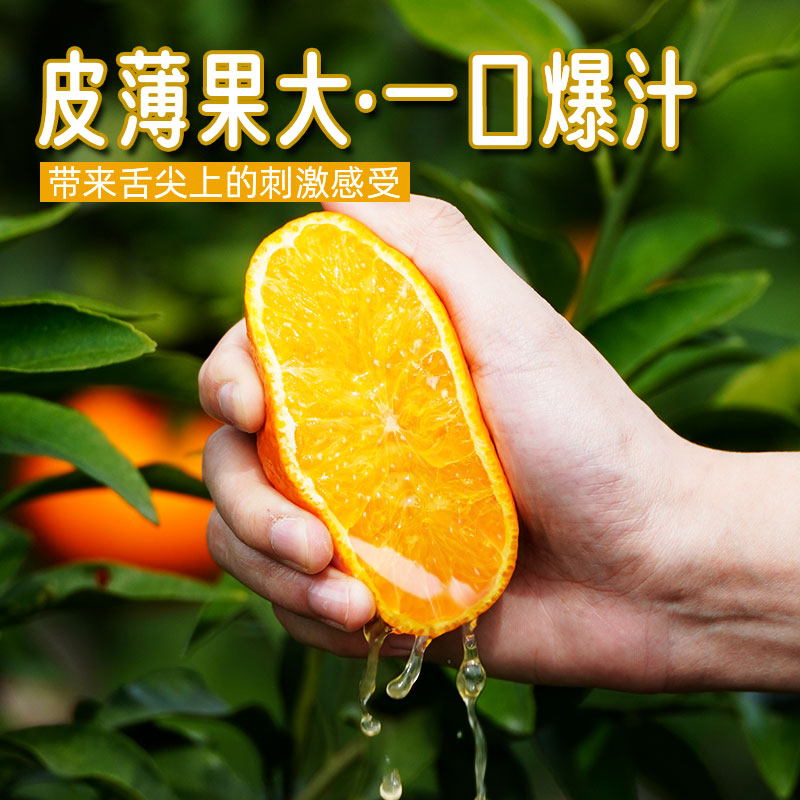 【東方籈选】正宗果粒橙四川爱媛38号果冻橙果园现摘直发坏果包赔..