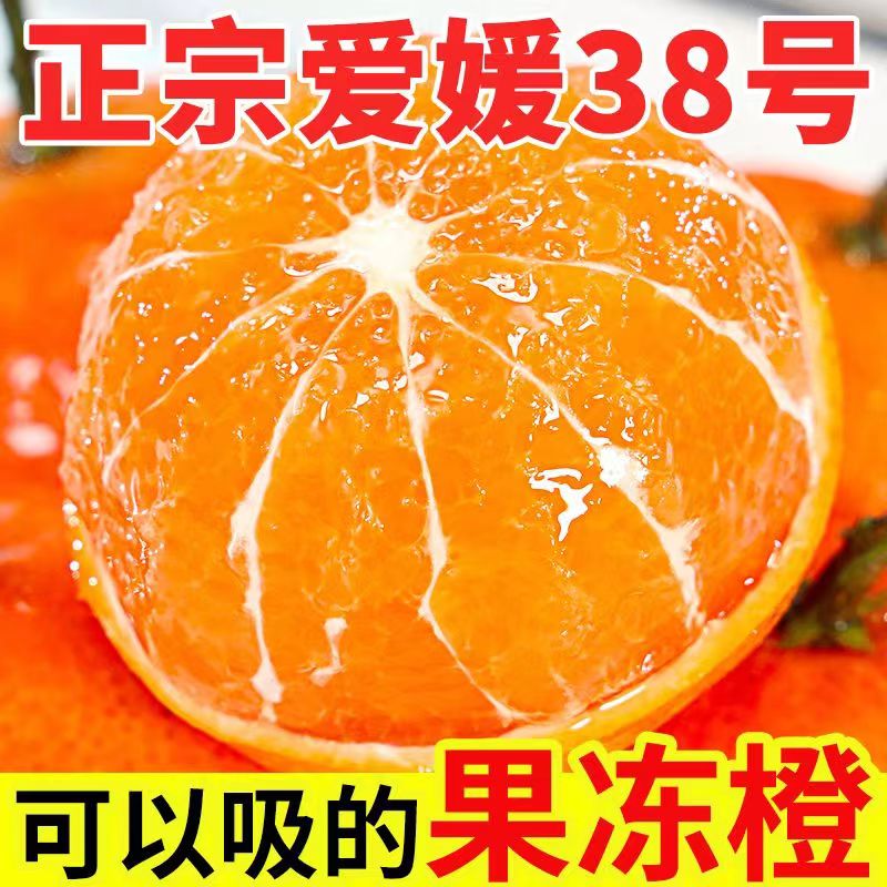 【東方籈选】新鲜正宗四川眉山爱媛38果冻橙薄皮橙子手剥橙产地直发