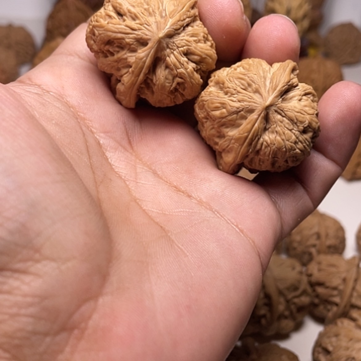 【闪购商品】文玩核桃吊坠36将军膀