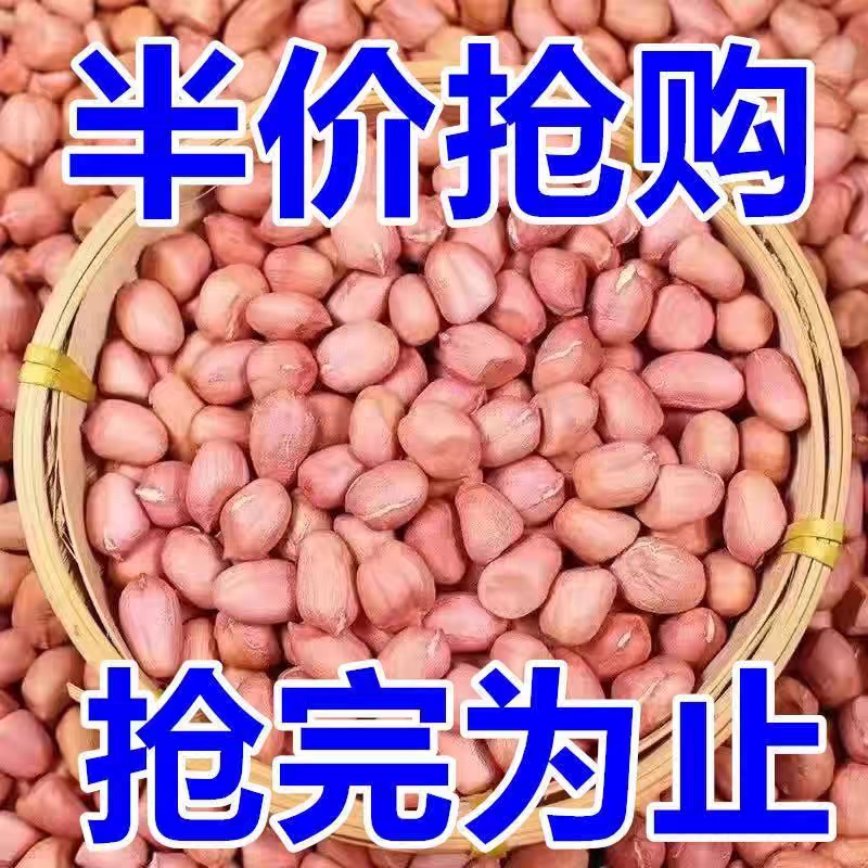 【大降价】特级新生花生米薄皮大颗粒花生米特大花生衣花生衣花生米