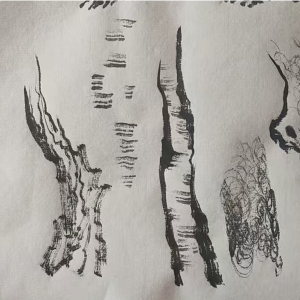 树的画法详解线上视频课（下单请留意短信-LH