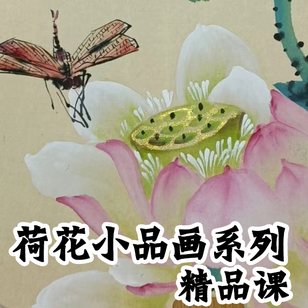荷花小品画系列精品课 线上课