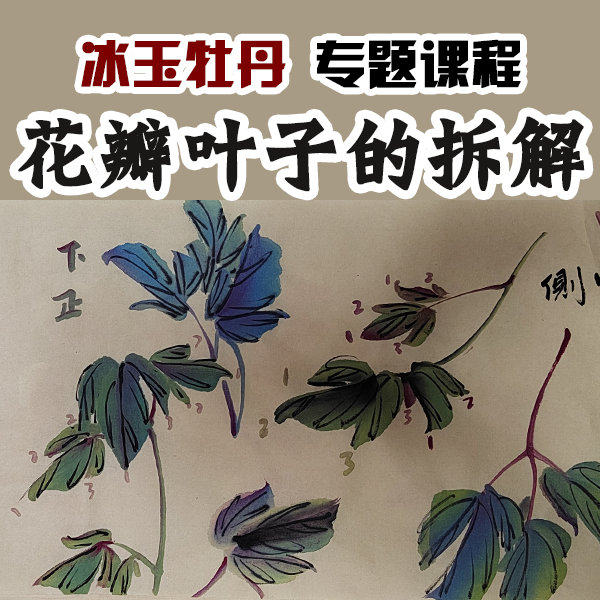 冰玉牡丹花瓣叶子的拆解专题课程 线上课