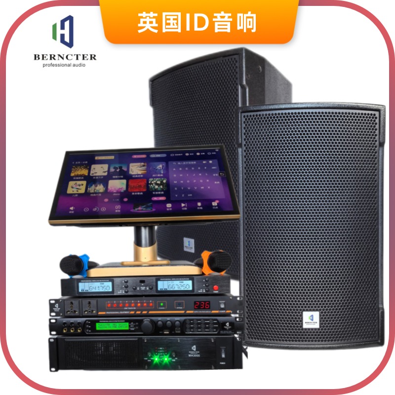 专业音响k歌酒吧舞台演出家庭影院唱歌大功率音响套装音响设备
