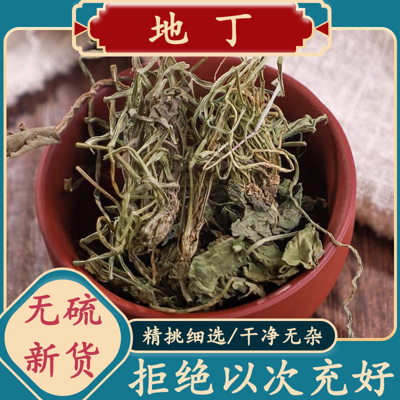 地丁草正品泡茶散装地丁草野生叶菜紫花地丁250g-1000g新货挑选