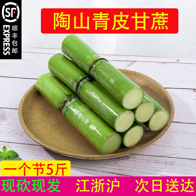 顺丰包邮正宗温州特产陶山甘蔗青皮绿皮精品孕妇儿童礼盒水果