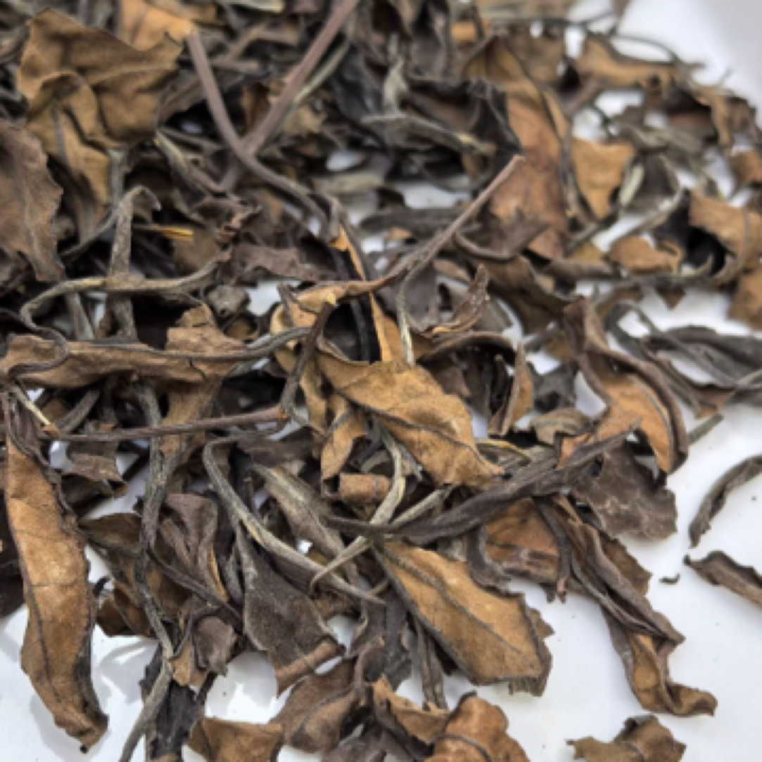 2012年福鼎老白茶贡眉枣香醇厚滇红茶耐泡