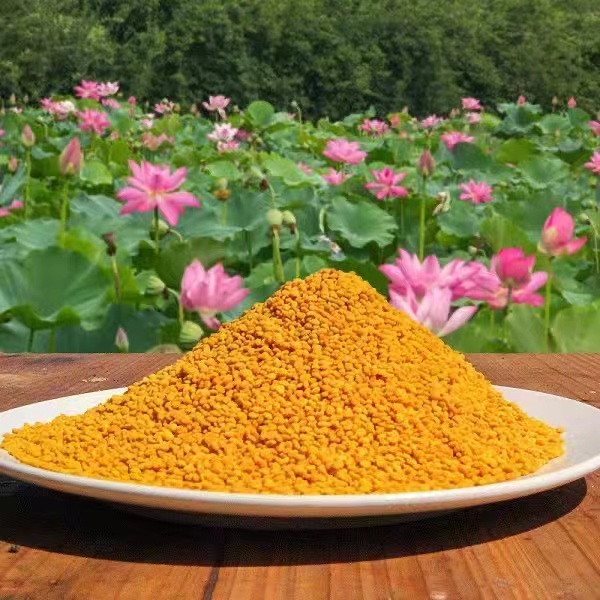 新鲜农家食用荷花花粉大瓶装
