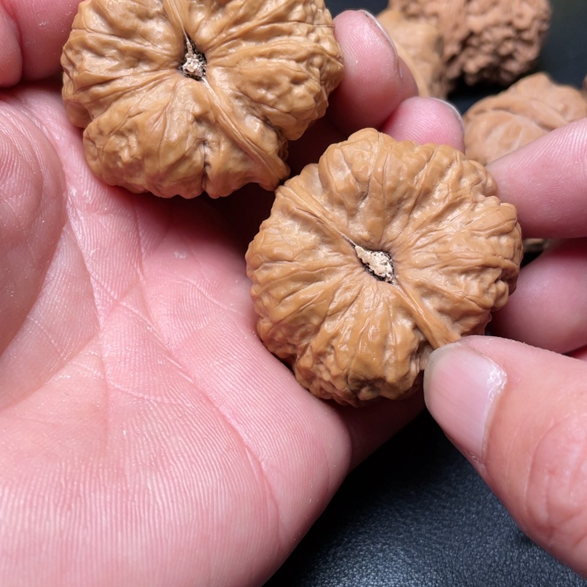 【闪购商品】文玩核桃吊坠升*许蛤蟆头