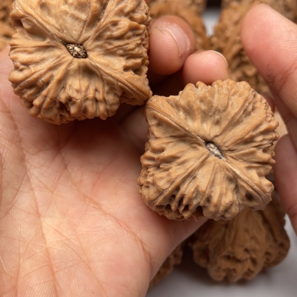 【闪购商品】桃核吊坠S****✪南疆石