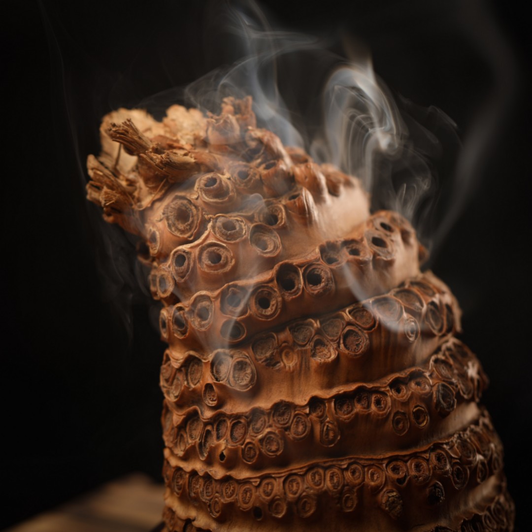 虫蚀纹竹雕熏香炉摆件 盘香炉  文房清供  香道雅器赏玩 一图一物