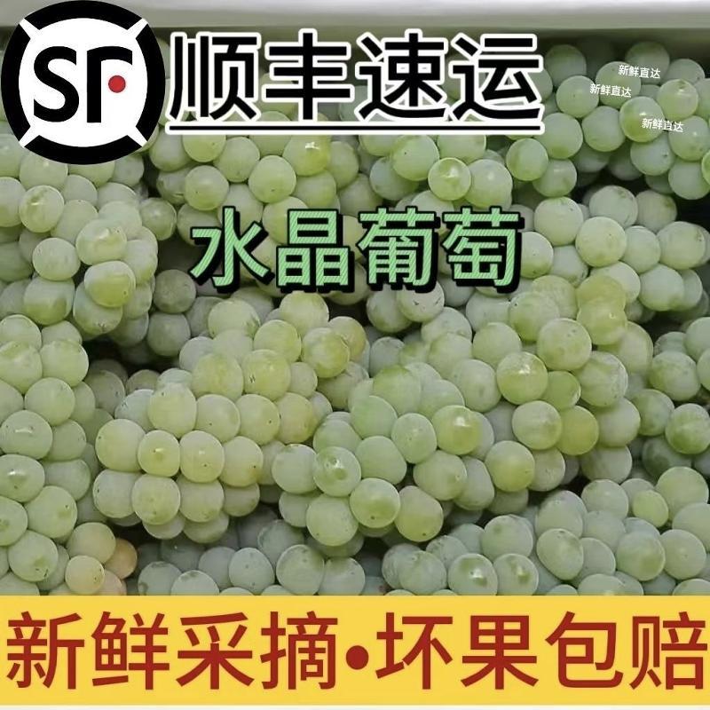 贵州新鲜孕妇当季水果水晶葡萄安顺特产新鲜现采非青提顺丰包邮