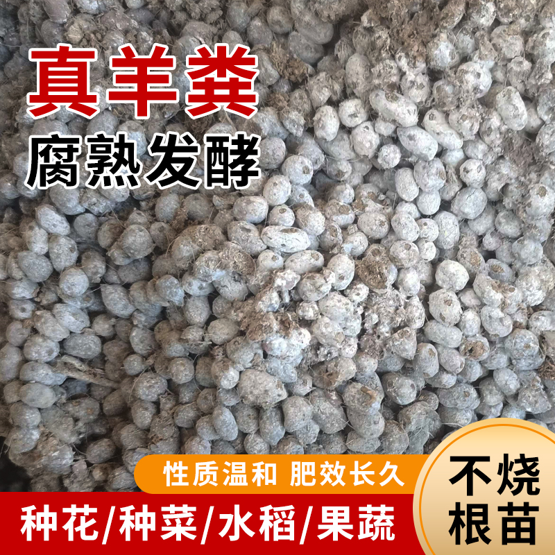 发酵纯羊粪，自产自销，适用月季朱顶红兰花蔬菜，阳台无臭肥羊粪