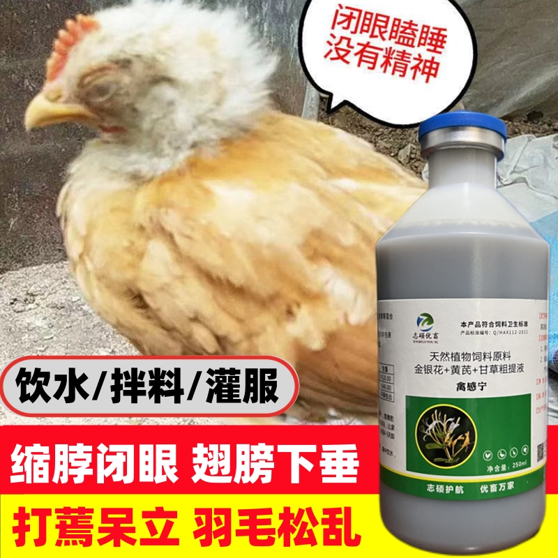 禽感宁鸡鸭鹅鸽芦丁鸡缩头闭眼翅膀下垂养殖场常用套餐液态添加剂