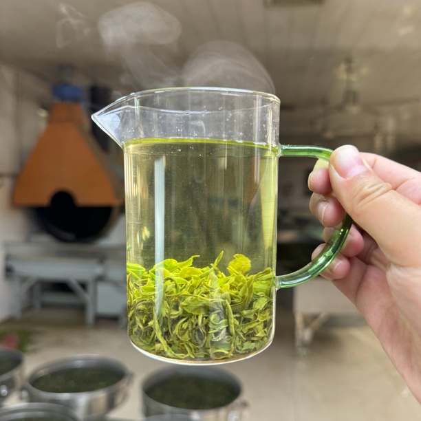 2025年日照绿茶露天春茶浓香型豆香一芽两叶155