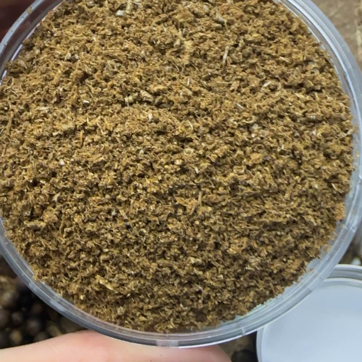 【闪购商品】绿奇楠沉香熏香粉70克