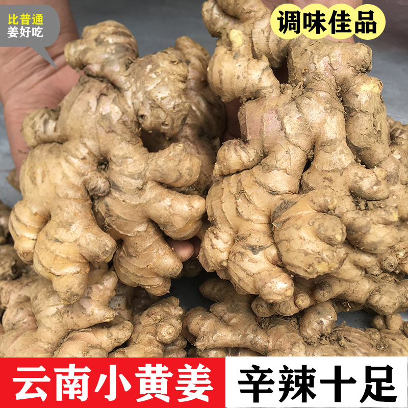 【正宗云南高山小黄姜】鲜姜老姜土姜嫩姜超低价0.5-9斤坏果包赔