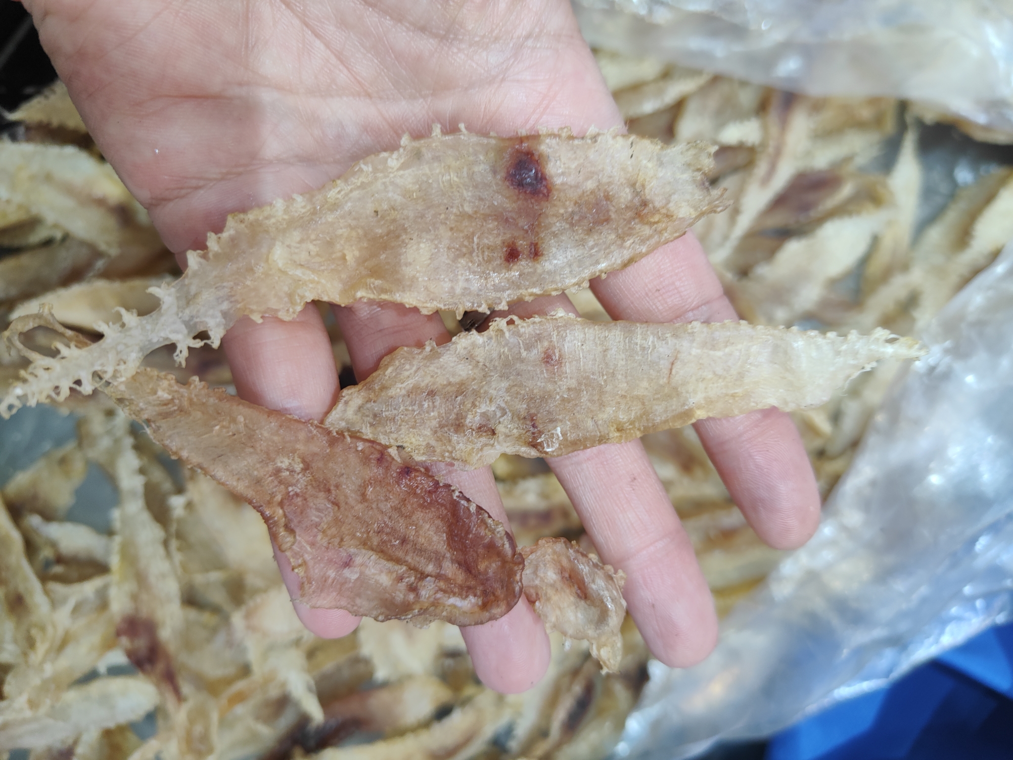 【顺丰包邮】青岛琴岛顺合自家晒的鳘鱼鳔干（鱼胶，花胶）250克