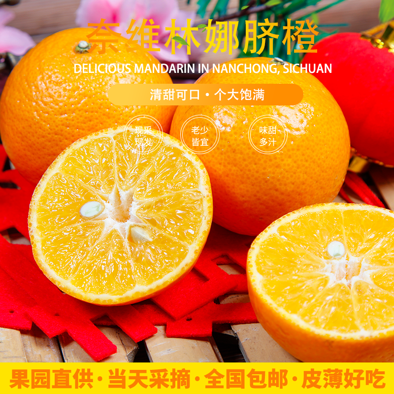 【奈维林娜脐橙】 新鲜脐橙基地新鲜采摘当季品质水果产地直发