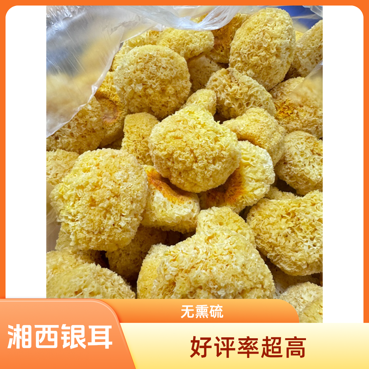 湘西农家自产精品银耳糯耳丑耳