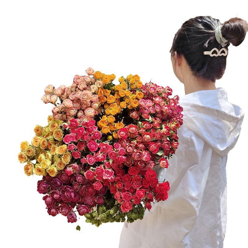 干花花束多头玫瑰烘干真花迷你小花复古装饰摆件天然家居摆设DIY