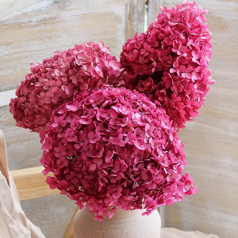 永生花安娜木绣球真花客厅卧室高级感吊顶婚庆装饰diy材料包拍照