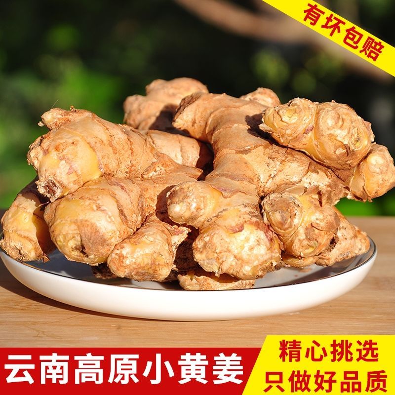 云南小黄姜生姜老姜批发鲜老姜新鲜姜老生姜仔姜批发老姜沙姜蔬菜