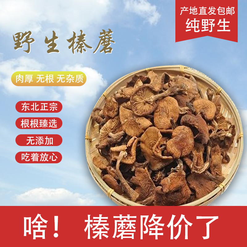 东北野生榛蘑山货食用菌无根250克