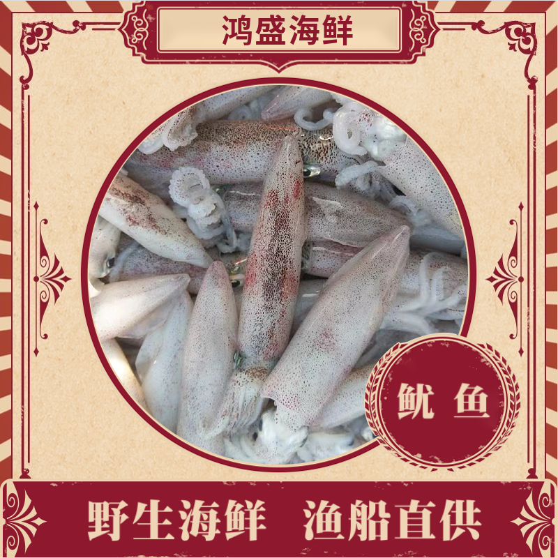 福建船捕【小软丝】