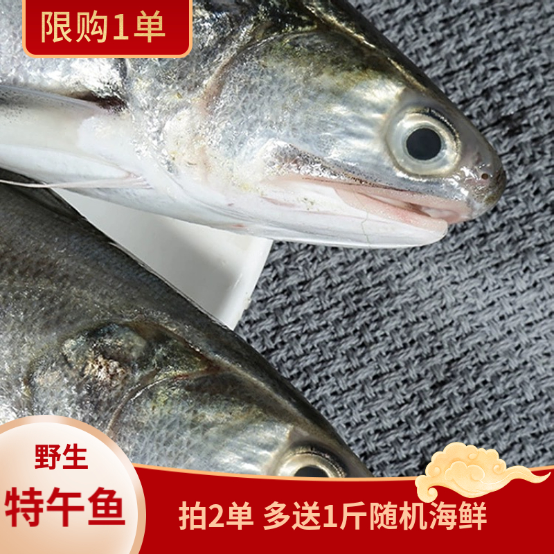 福建船捕【特午鱼】冻品没有售后建议不要拍