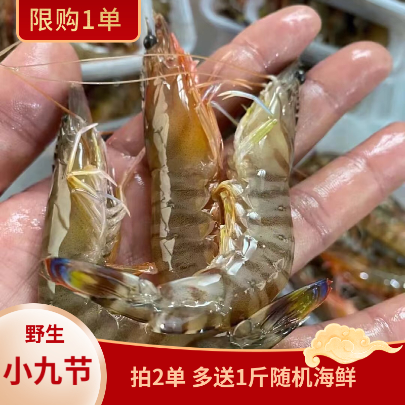 福建船捕【B级小九节虾】冻品清仓 不做售后！！！